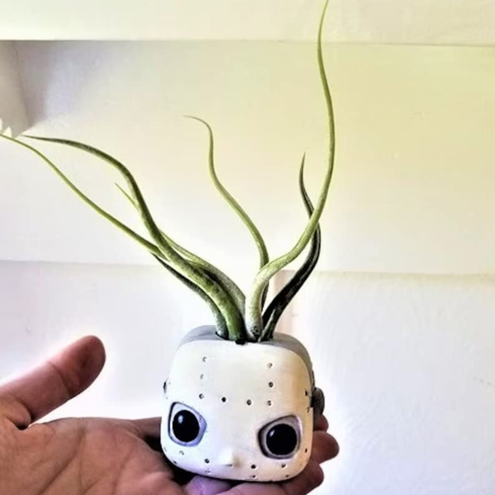 Fleur Tête Mort Planteur Crâne Avec Support Colonne Vertébrale Cache-Pots Tête Mort En Résine